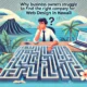 Why Business Owners Struggle to Find the Right Company for Web Design in Hawaii